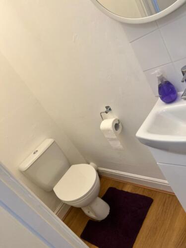 30 Howard Road - Allen Property Management Ltd - Shower and Toilet 02